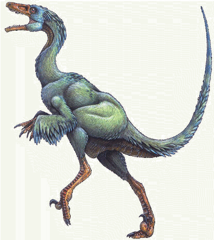troodon_formosus